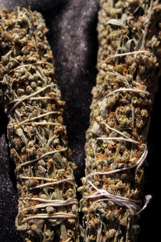 Prairie Sagewort | Wormwood Smudge Bundle 4 to 5 inch