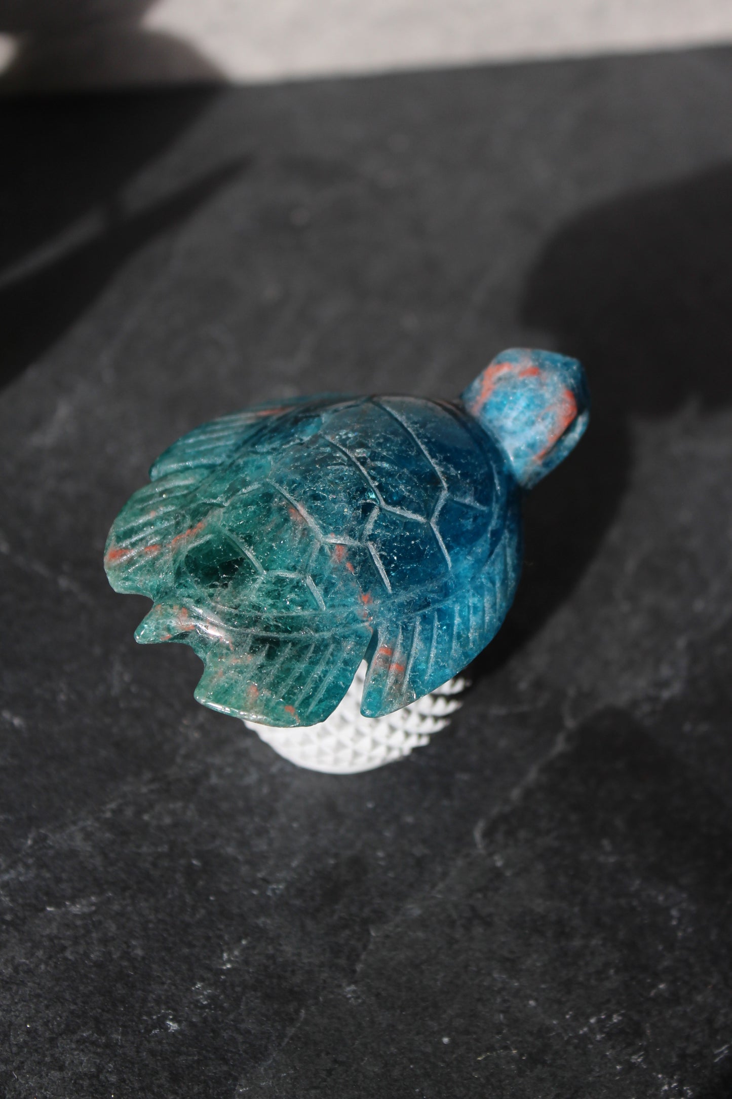 Apatite Turtle | Blue and Green Apatite Turtle | Crystal Turtle | Tons of Soul