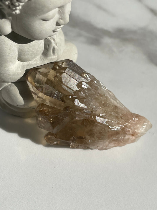 Kundalini Citrine #5