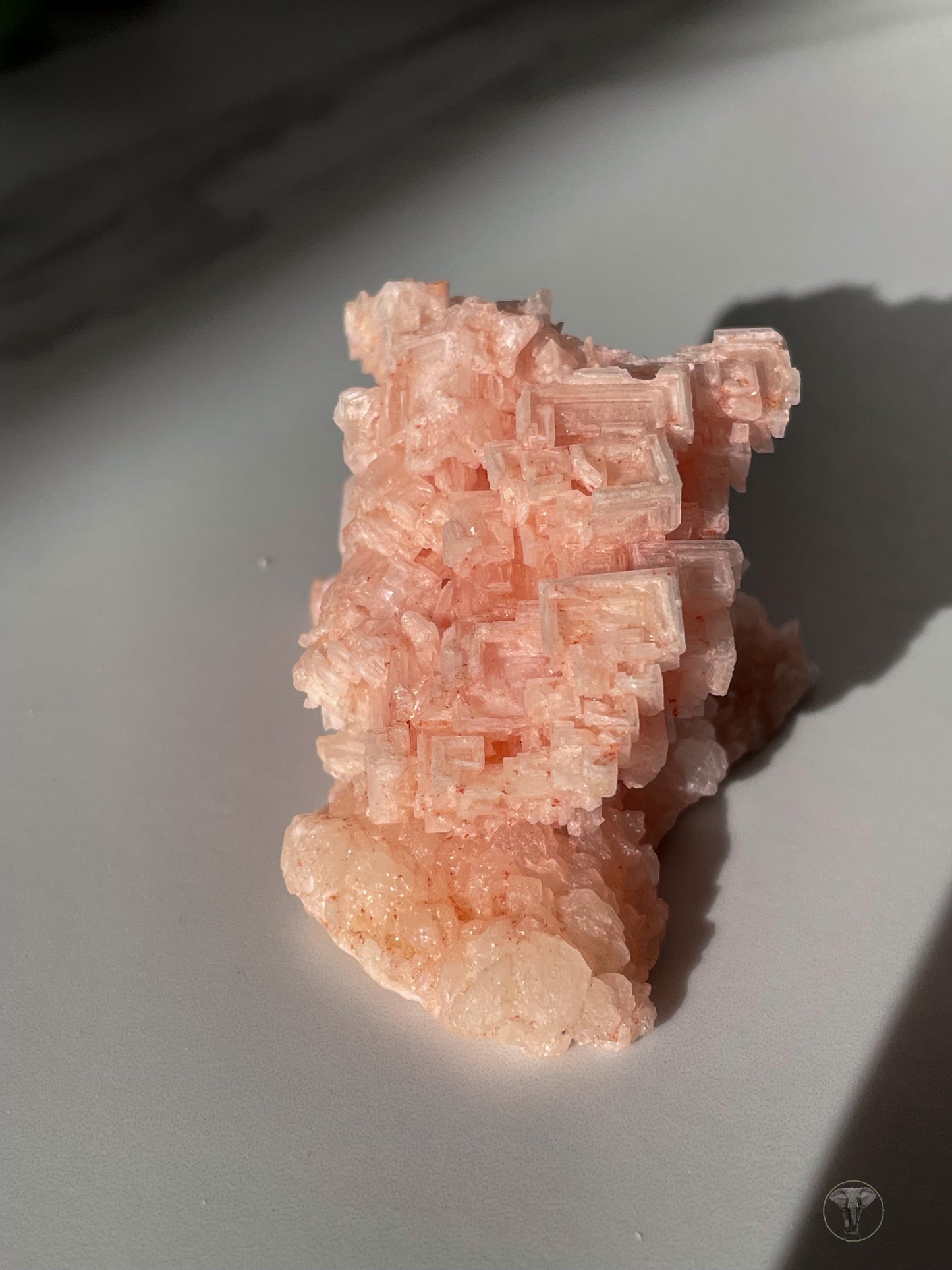 Pink Halite Specimen from Owens Lake, California 4