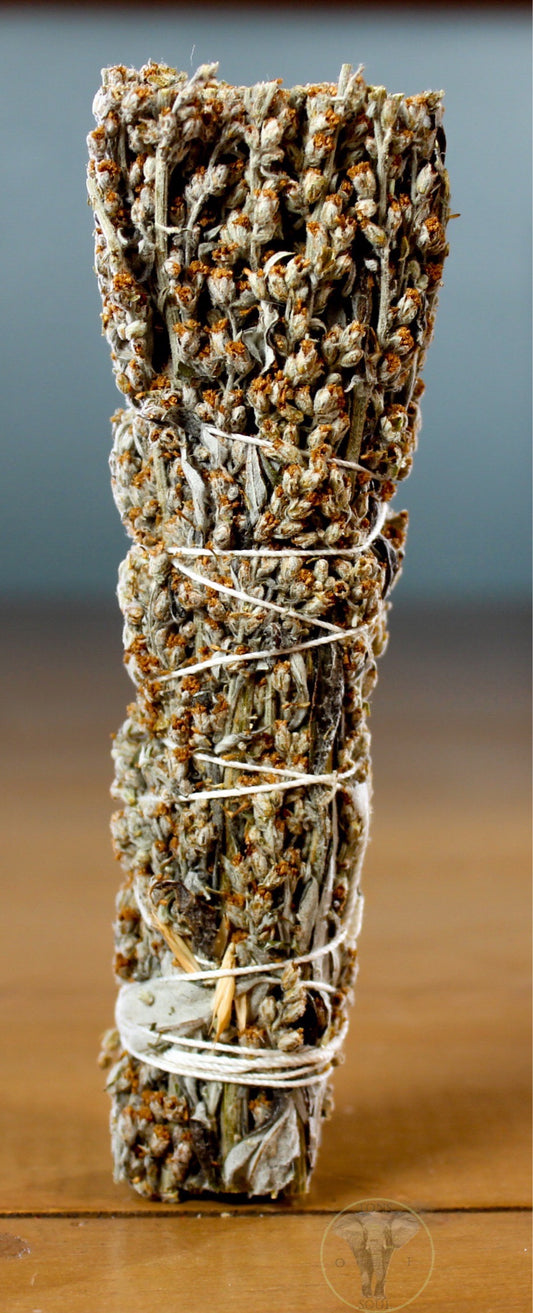 Prairie Sagewort | Wormwood Smudge Bundle 4 to 5 inch