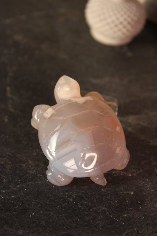 Flower Agate Turtle | Crystal Turtle | Tons of Soul