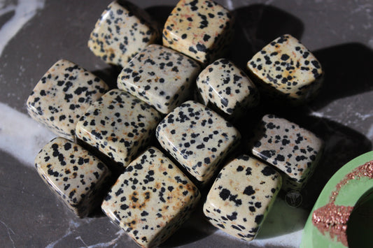 Dalmatian Jasper Tumbled Cube