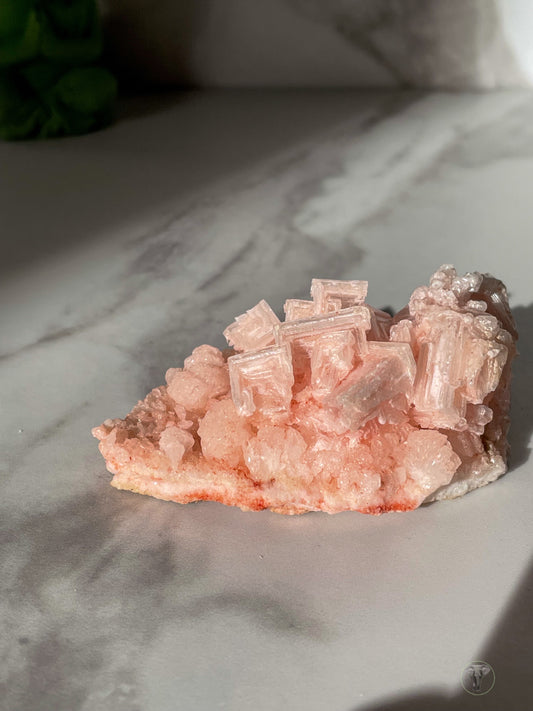 Pink Halite Specimen from Owens Lake, California 3