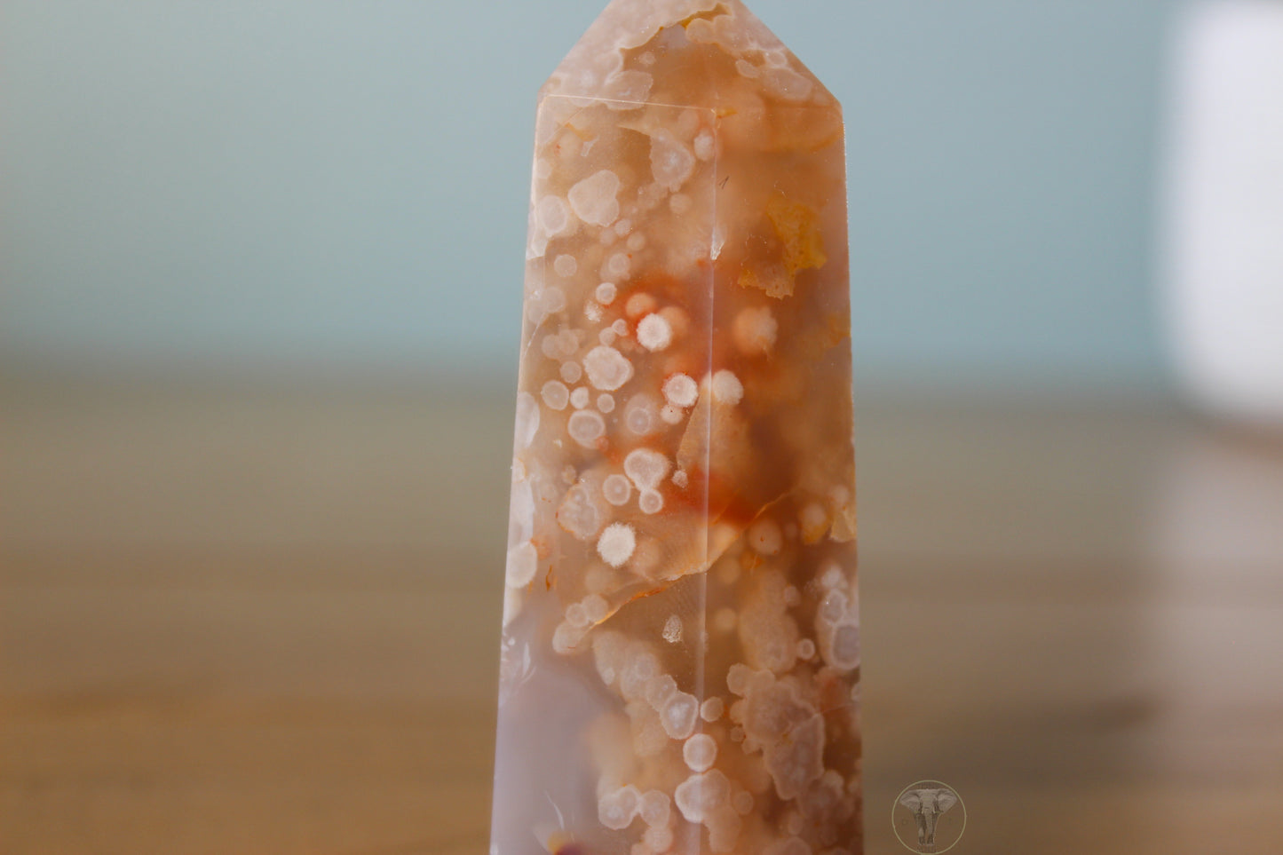 Flower Agate Point 3