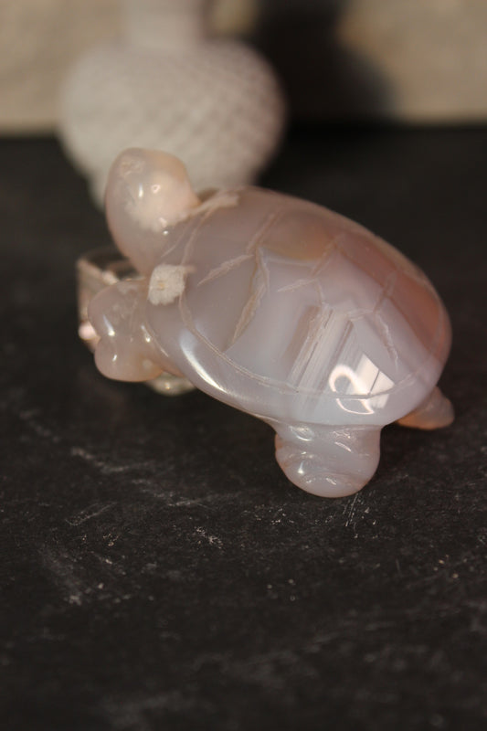 Flower Agate Turtle | Crystal Turtle | Tons of Soul