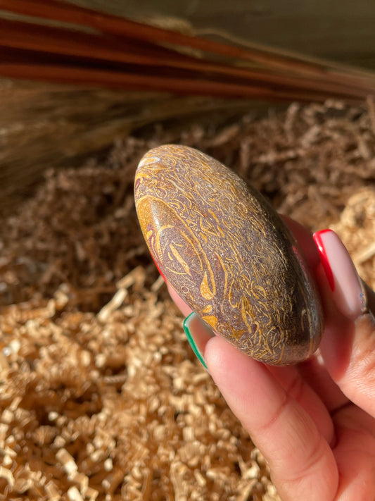 Calligraphy Stone Palmstone #4