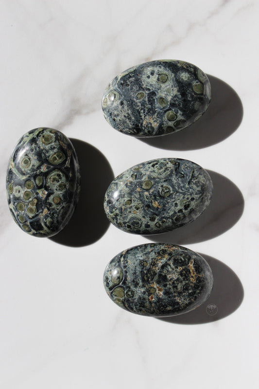 Kambaba Jasper Palmstone | Kambaba Jasper Palm Stone | Tons of Soul Crystals