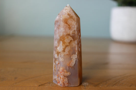 Flower Agate Point 3