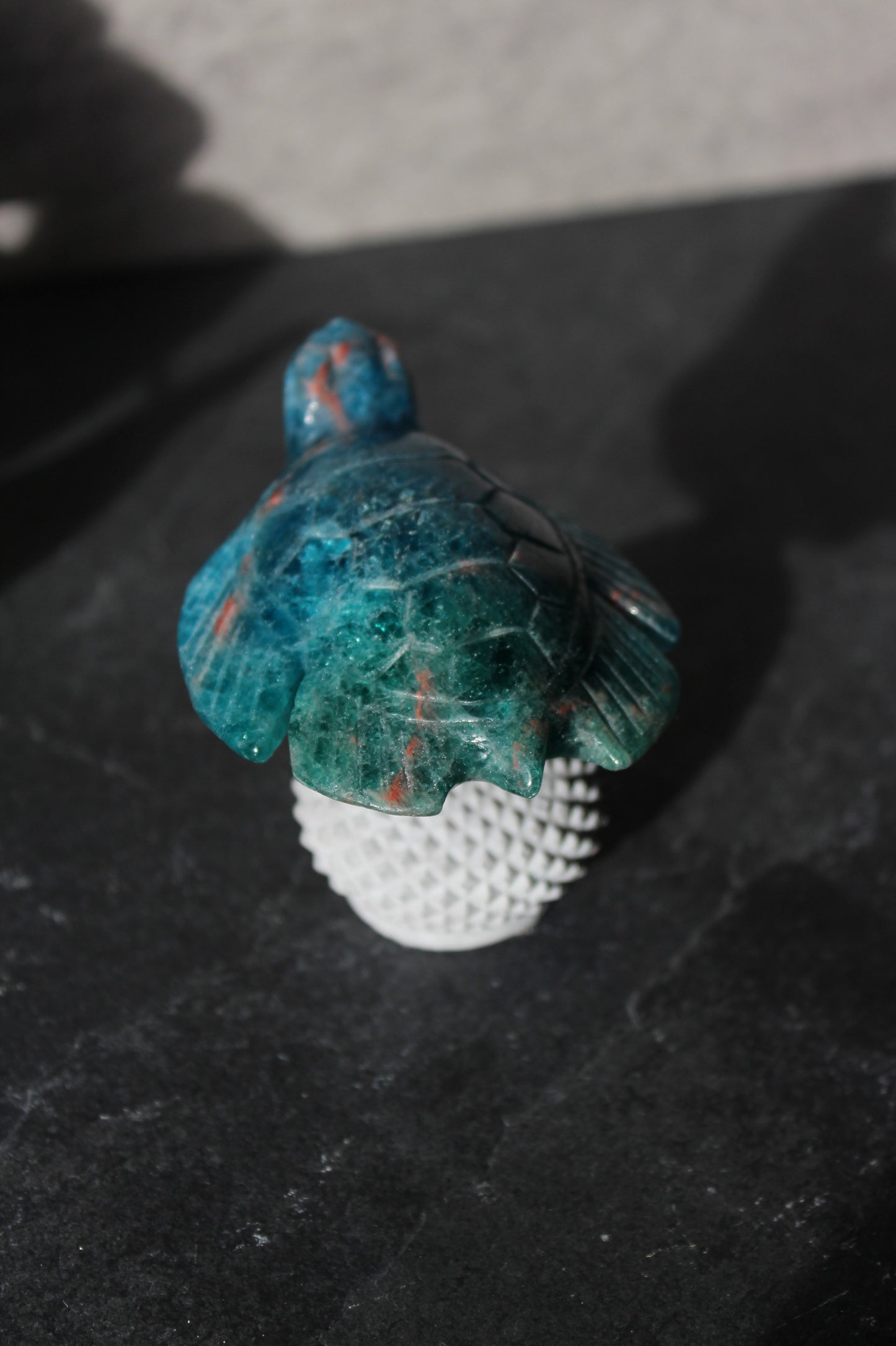 Apatite Turtle | Blue and Green Apatite Turtle | Crystal Turtle | Tons of Soul