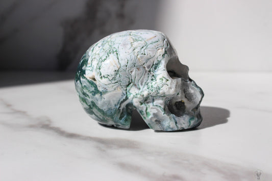 Tree Agate Skull | Tons of Soul