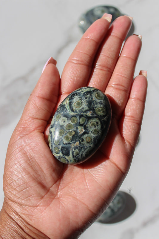 Kambaba Jasper Palmstone | Kambaba Jasper Palm Stone | Tons of Soul Crystals