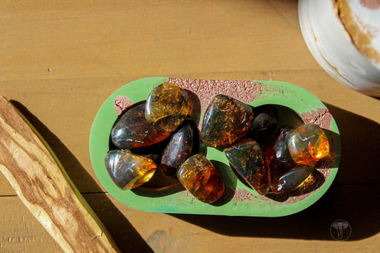 Tumbled Polished Amber from Chiapas Mexico