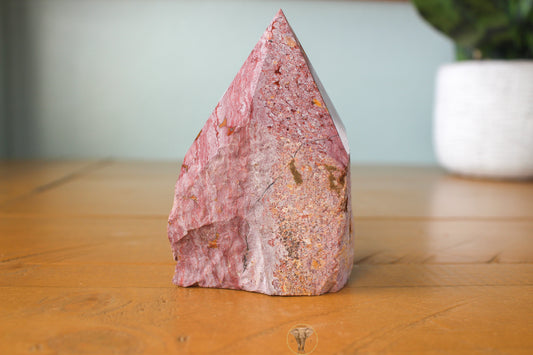 Ocean Jasper Polished Top, Raw Sides Point (#3)