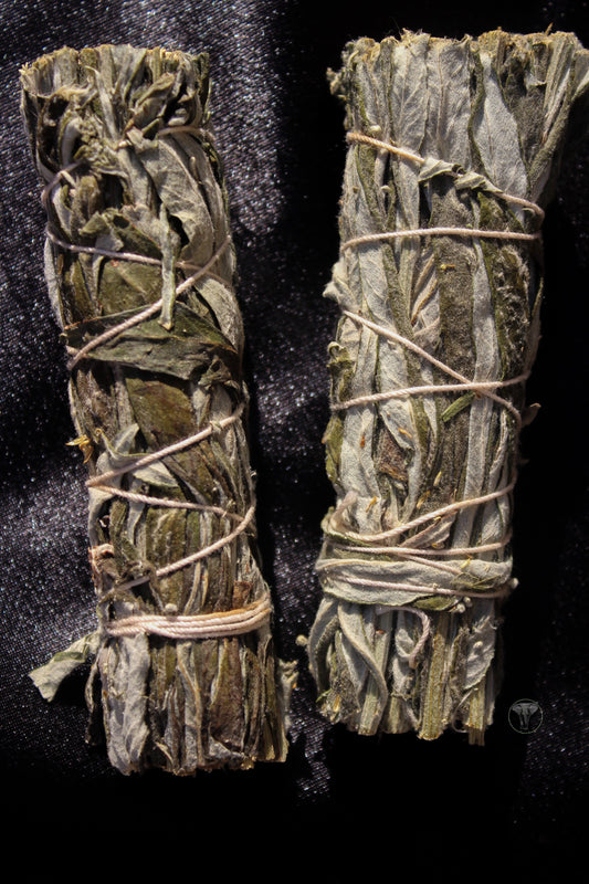 Mugwort Bundle