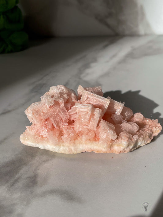 Pink Halite Specimen from Owens Lake, California 3
