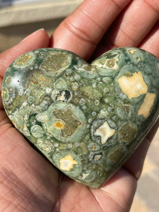 Rainforest Rhyolite Palmstone