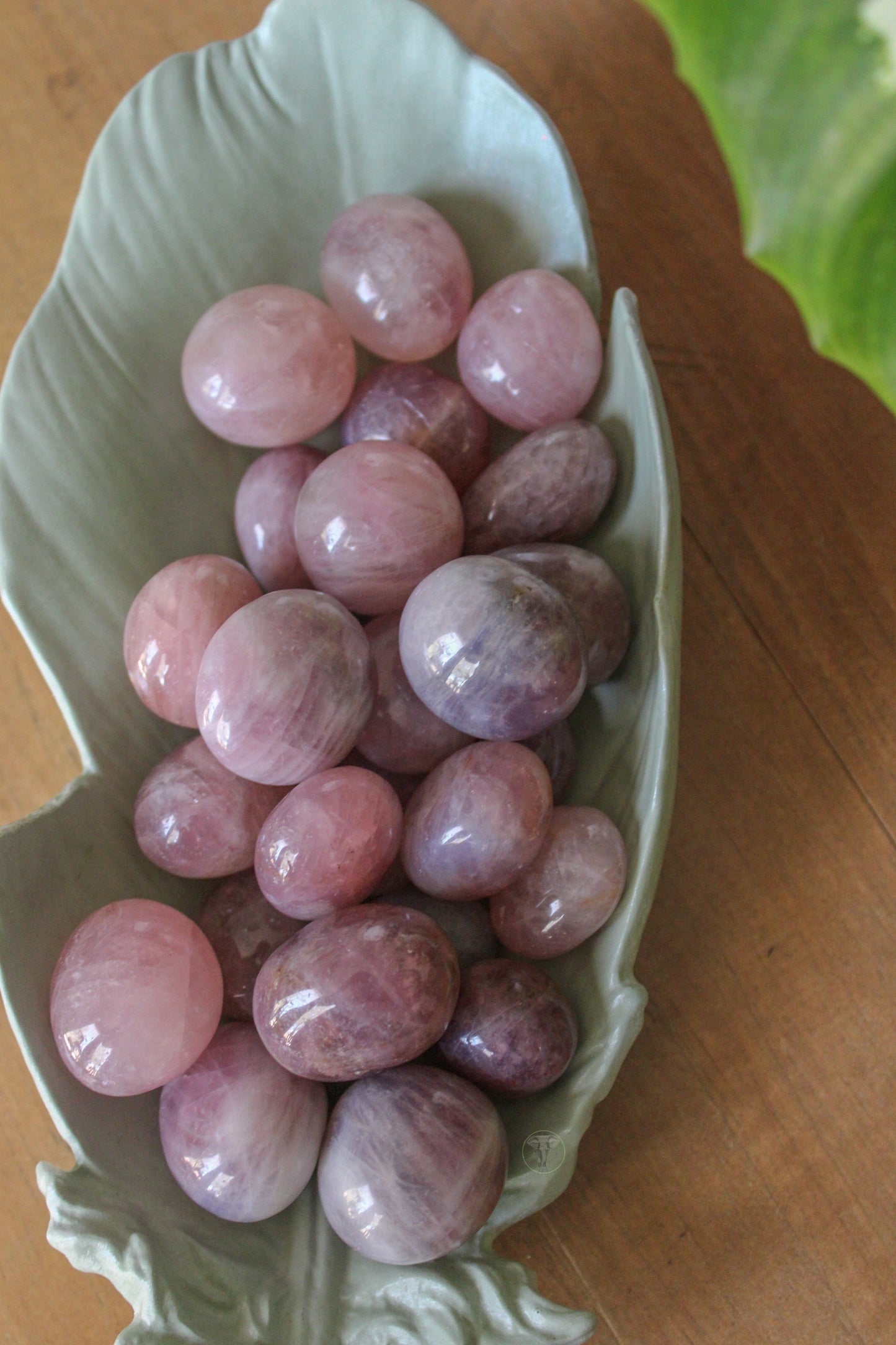 Lavender Rose Quartz Tumbled Stone | Purple Rose Quartz | Tons of Soul