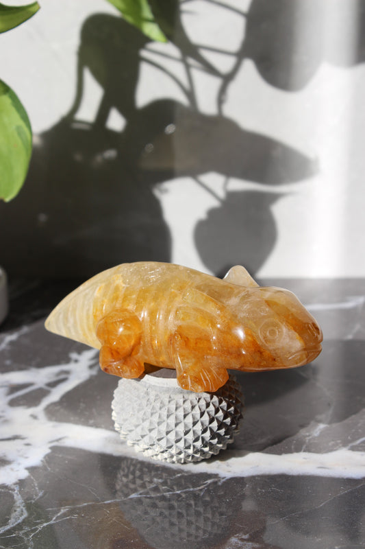 Golden Healer Salamander | Crystal Lizard | Crystal Carving | Tons of Soul