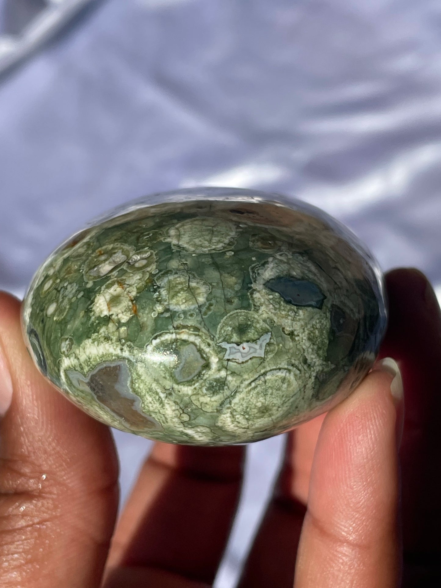 Rainforest Rhyolite Palmstone