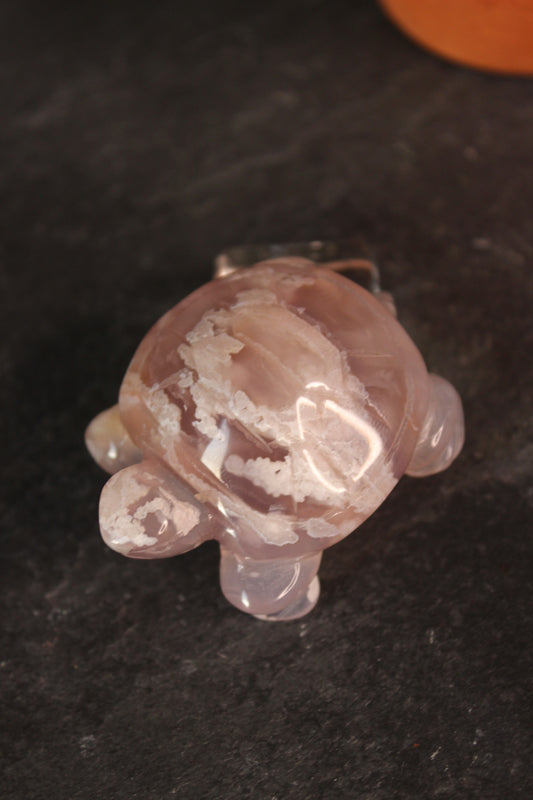 Flower Agate Turtle | Crystal Turtle | Tons of Soul