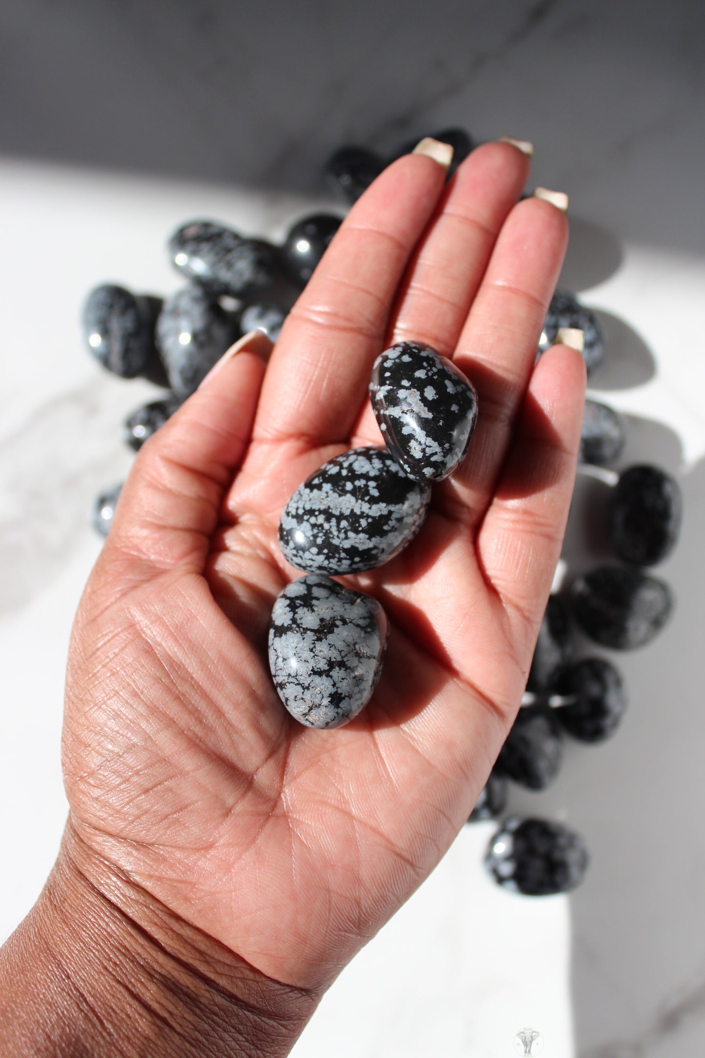 Snowflake Obsidian Tumbled Stone | Tons of Soul