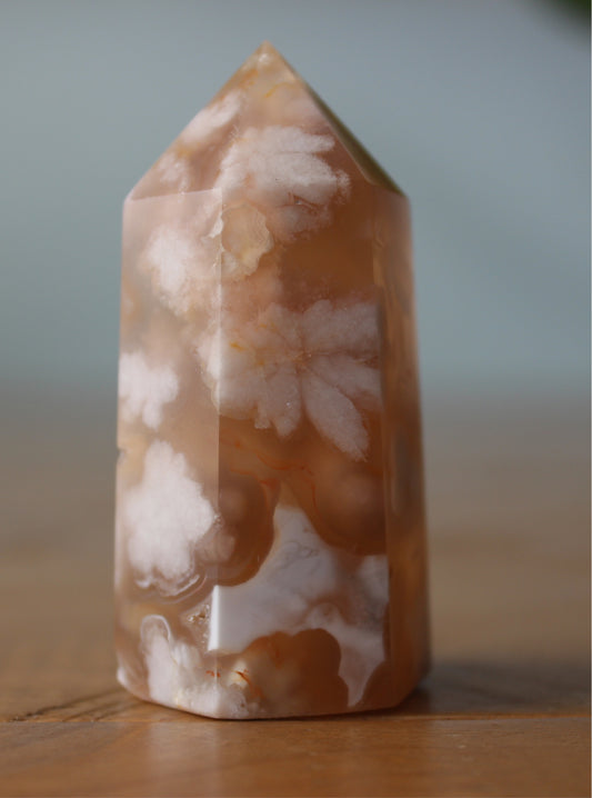 Flower Agate Freeform 6